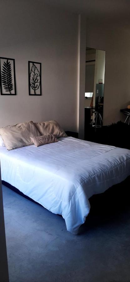 Moderno Departamento Con Balcon En Recoleta Appartement *